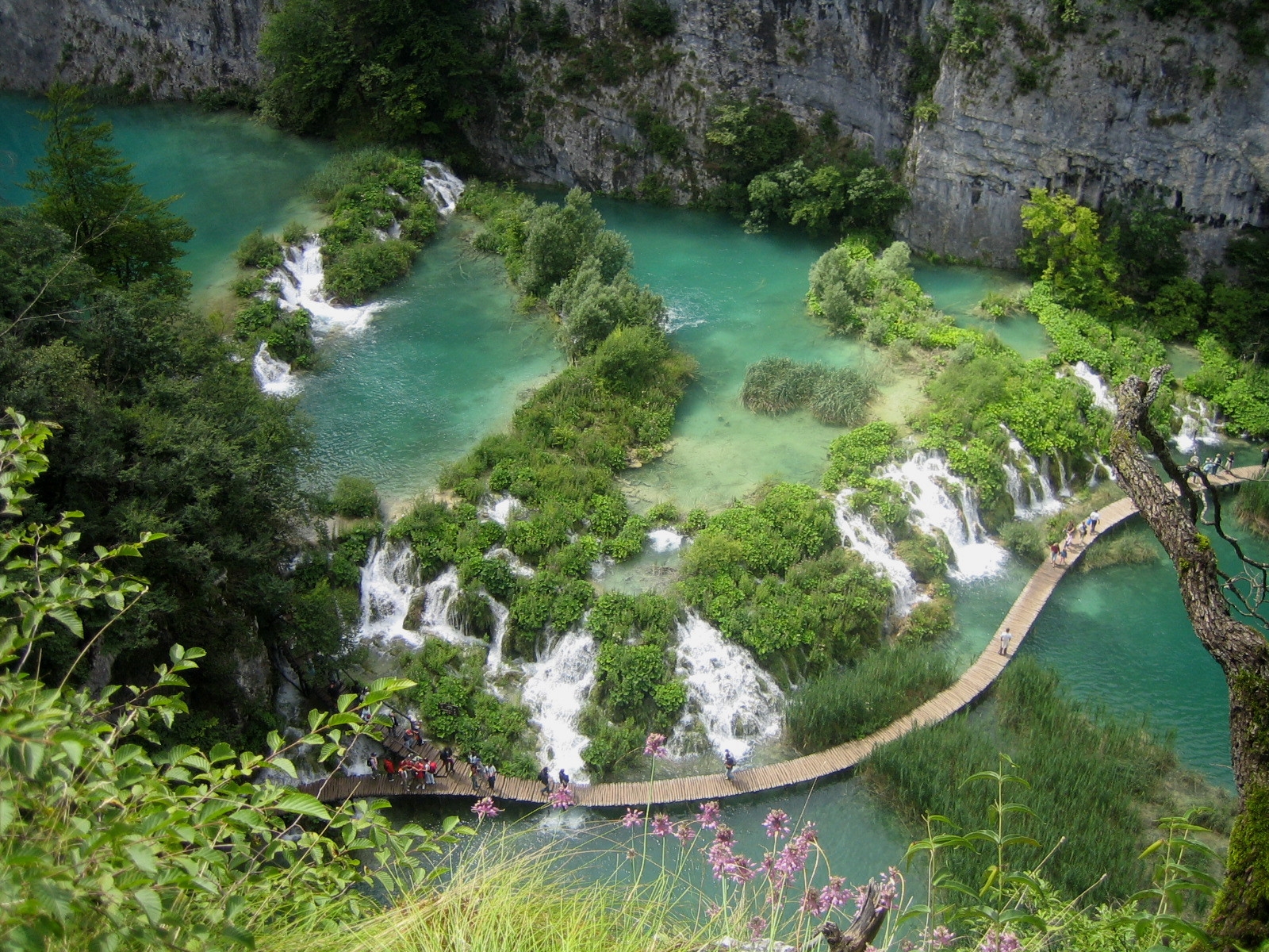 Tour Du Lịch Vườn Quốc Gia Bạch Mã Trong 1 Ngày