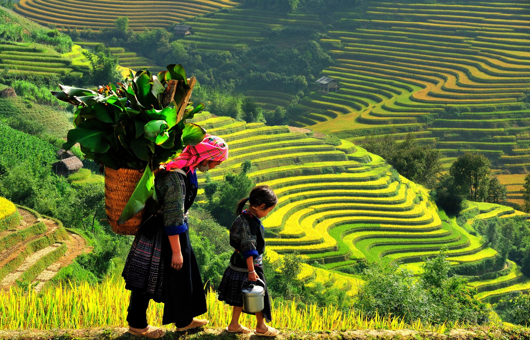 Tour Hà Nội – Bái Đính – Tràng An – Sapa – Cát Cát – Hàm Rồng