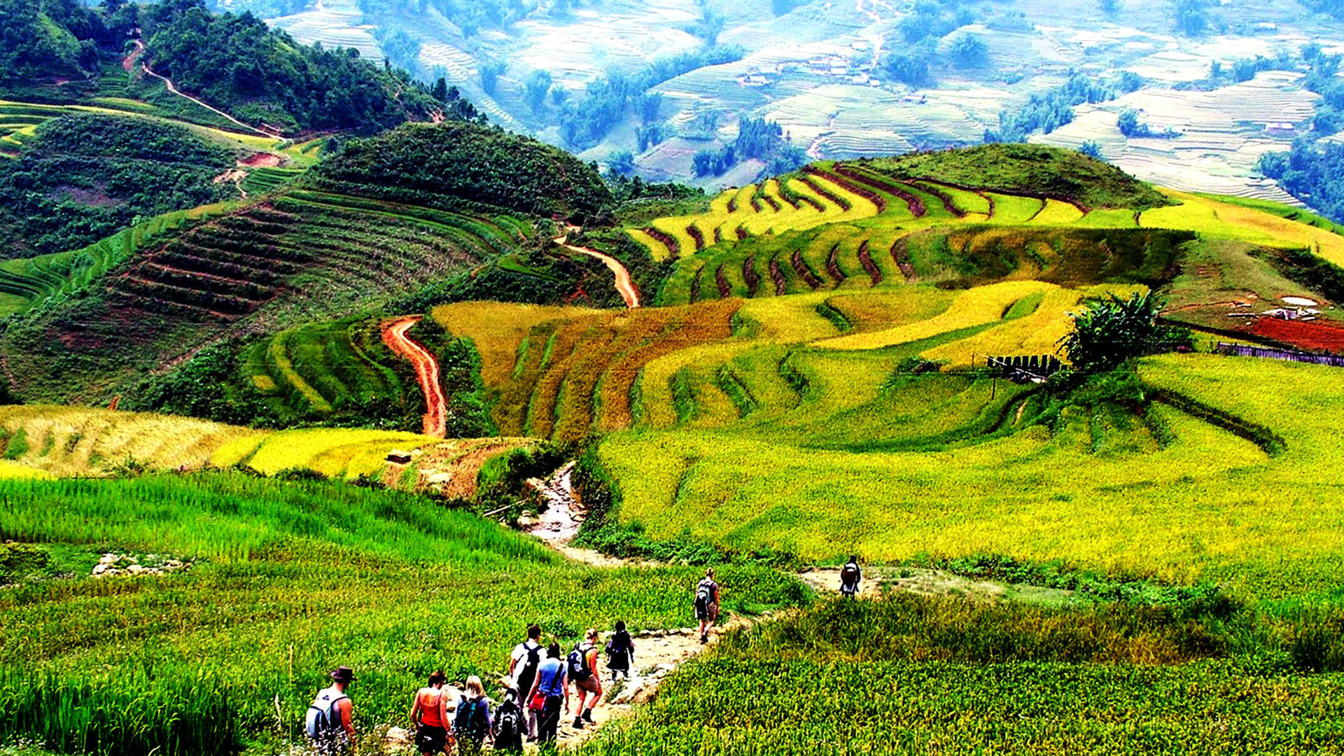 Tour Hà Nội – Bái Đính – Tràng An – Sapa – Cát Cát – Hàm Rồng